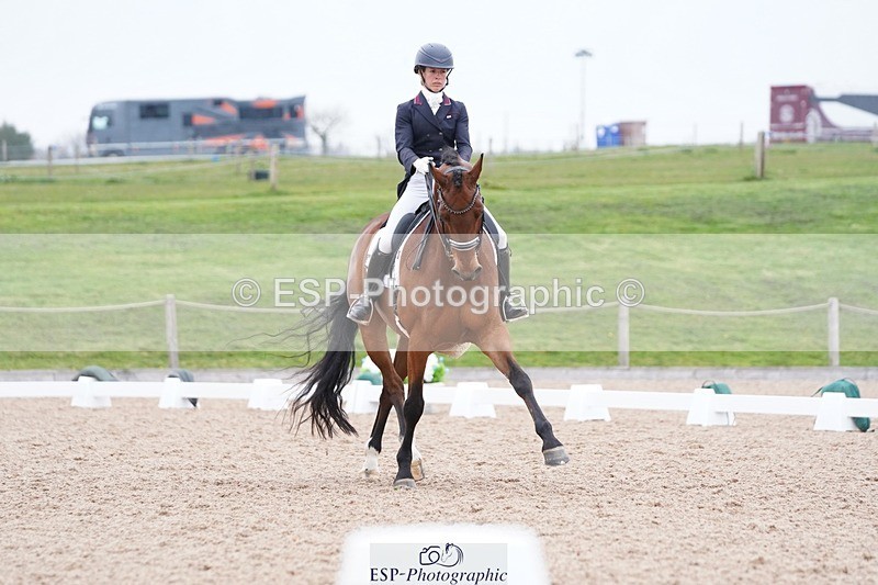 250403-161600-03275 - 028-Elizabeth.Allen-Heraldik