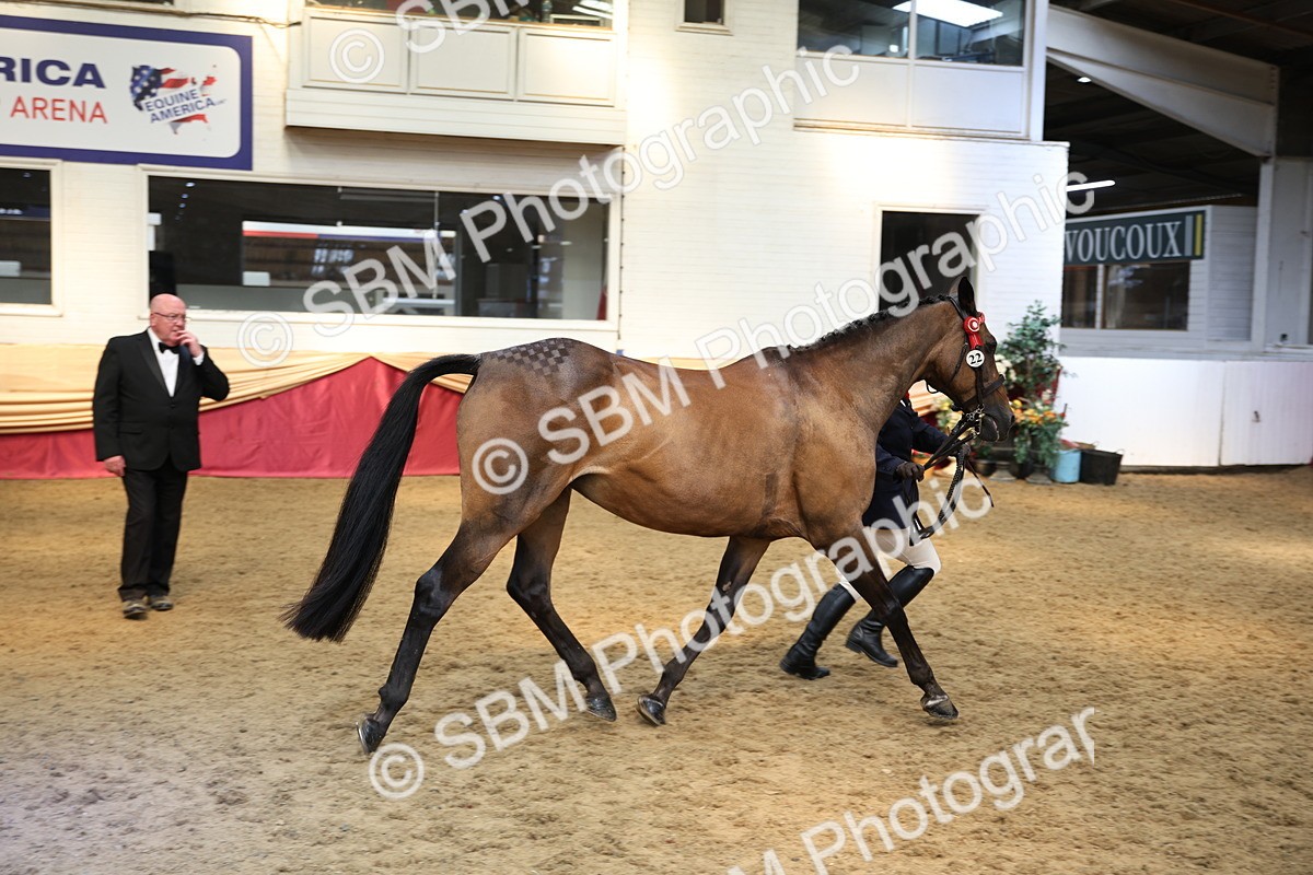 SBM_24276 - Class 905 - Supreme Final - Ridden Veteran