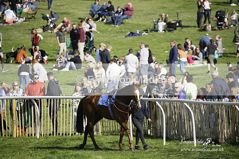 PtP 180422 306 - Old Berkshire PtP Lockinge 18/04/22