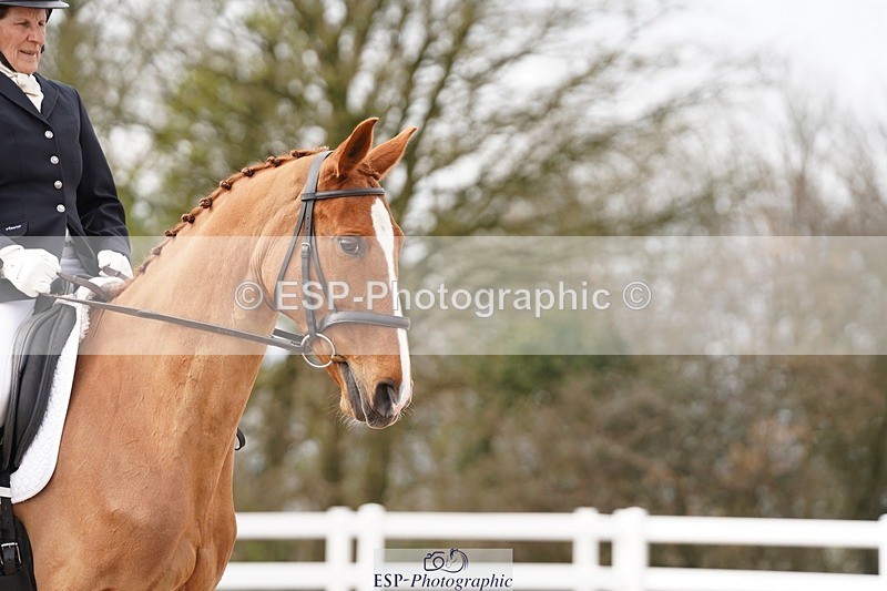 250322-103604-00153 - DR Novice 1 Test