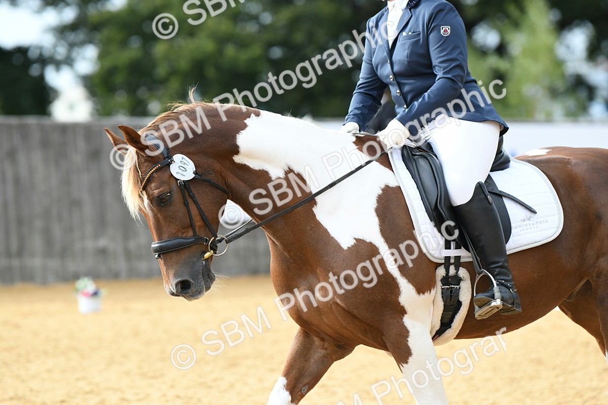 SBM_11047 - D28 Elementary Taster Elementary 42