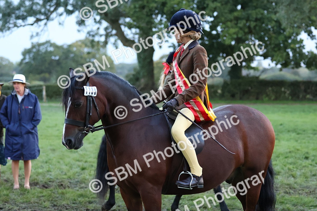 SBM_53461 - Super Supreme Championship (Sat)