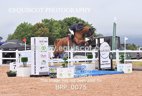 BPP_0075 - CLASS 25 SUN HOYS Redpost Equestrian Senior Foxhunter Second Round