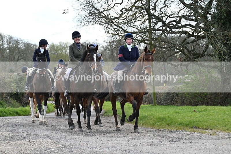 WJ7_9825 - Walk Home