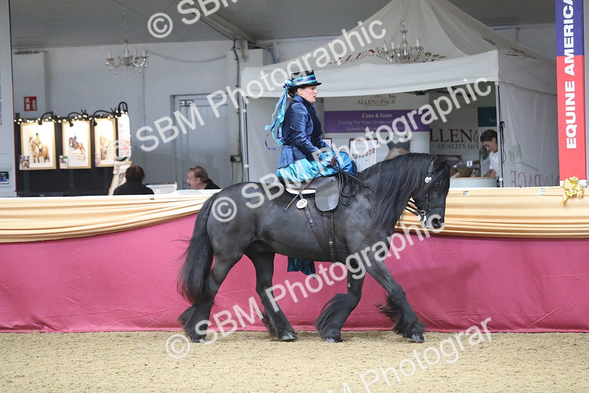 SBM_11534 - Class 105 Ridden Costume- Side Saddle