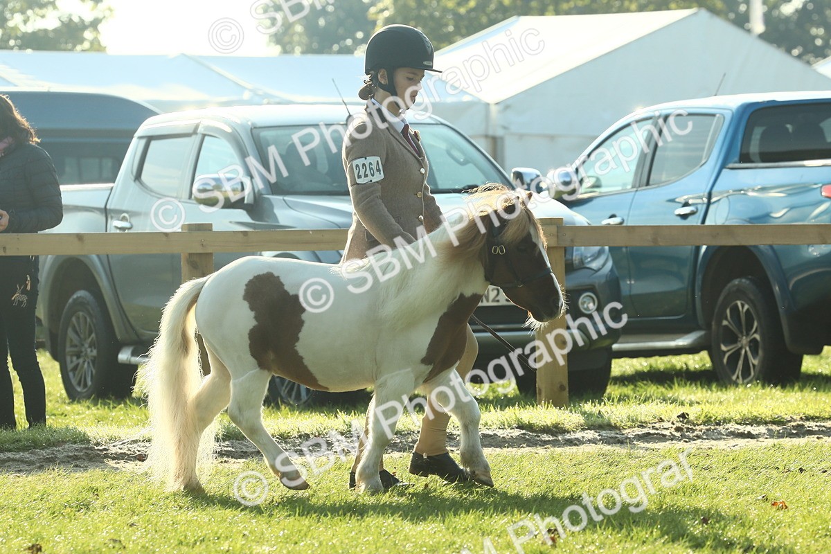 SBM_58546 - S37 - Starters In Hand Showing