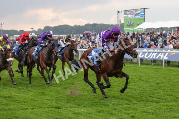 yr09102021r1-43 - Race 1 1.30pm Watch Racing Free Online At Coral Nursery Handicap