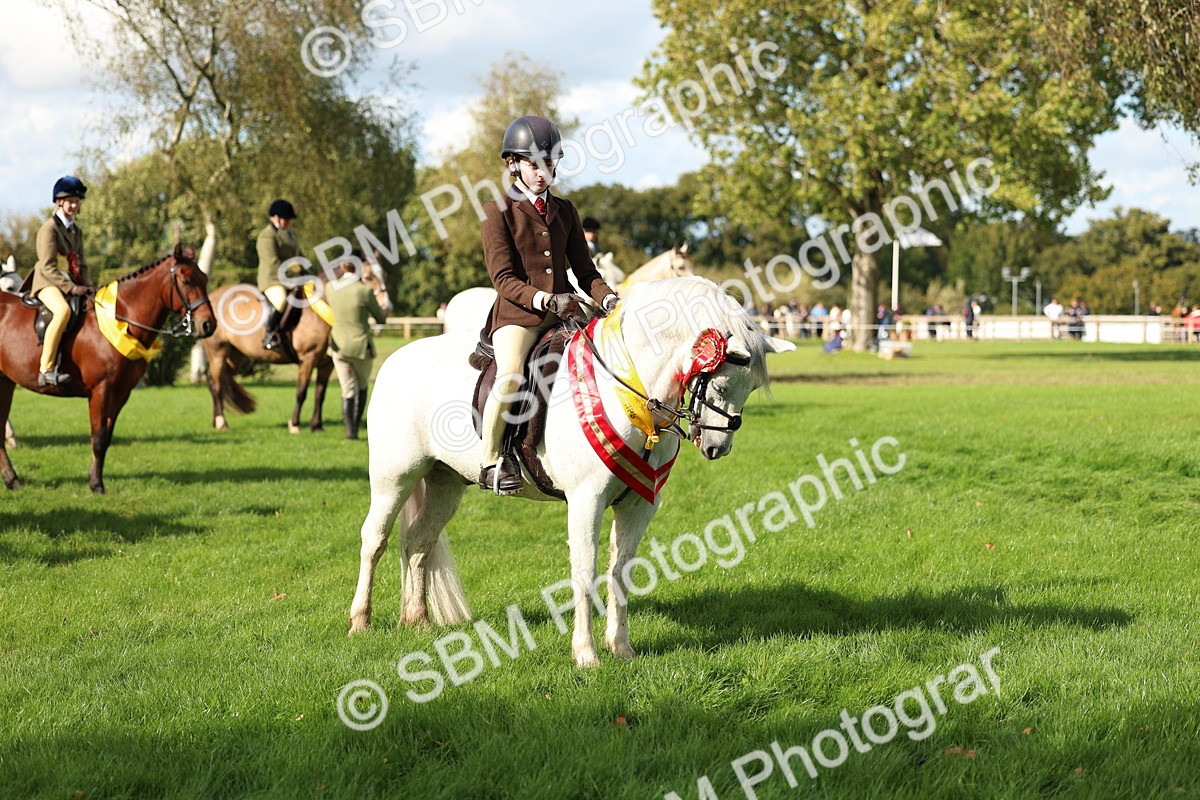 SBM_46386 - Working Hunter Pony Supreme Championship