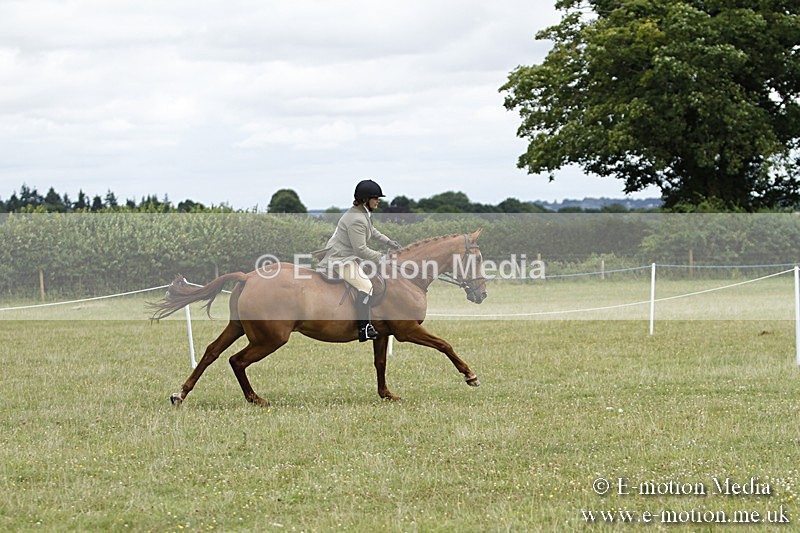BVR160717-2246 - Ring 3 BVRC Show 16/07/17