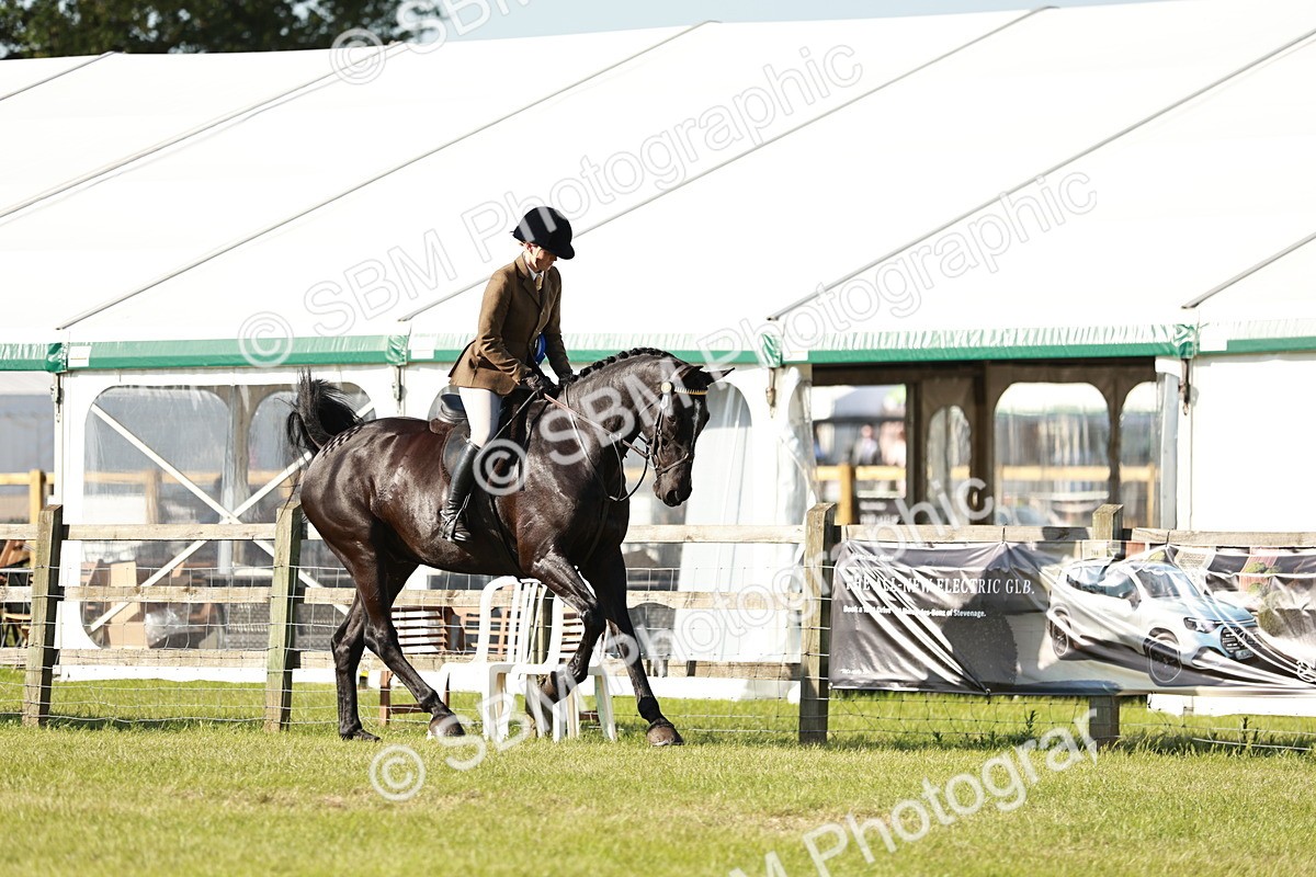 SBM_19343 - Class 115-116 - LIHS BSHA Rising Star Working Hunter & Show Horse
