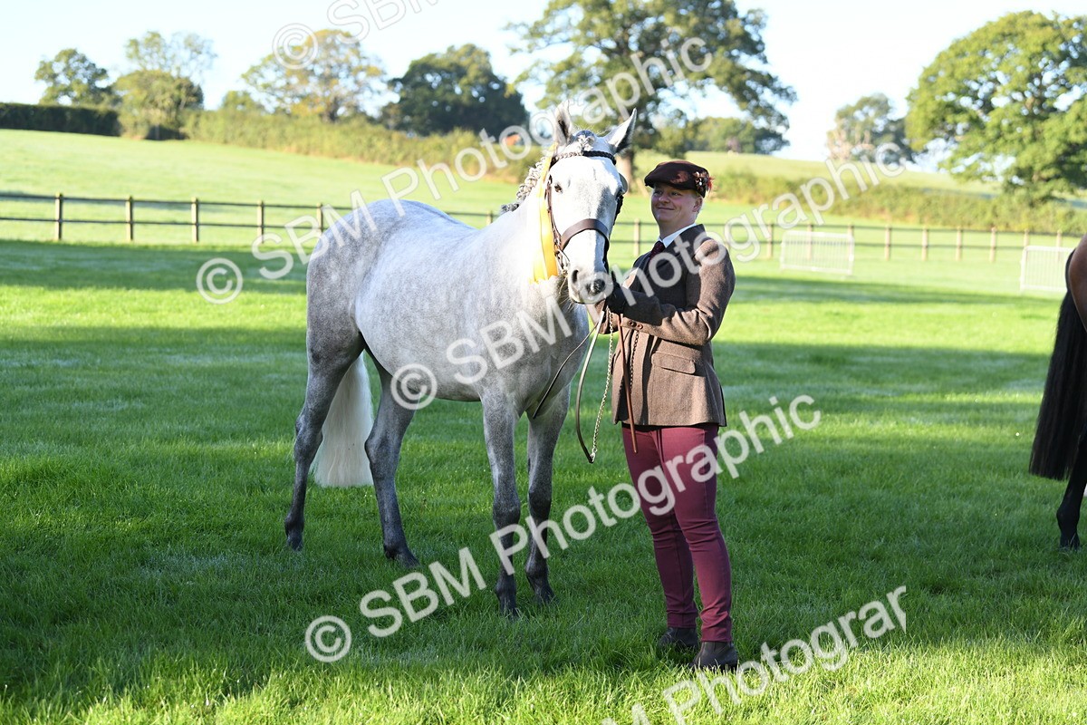 SBM_32840 - S15 - Condition & Turnout In Hand