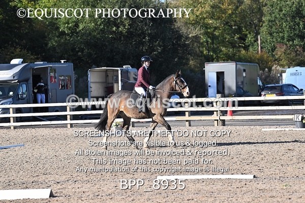 BPP_8935 - SHORT ARENA