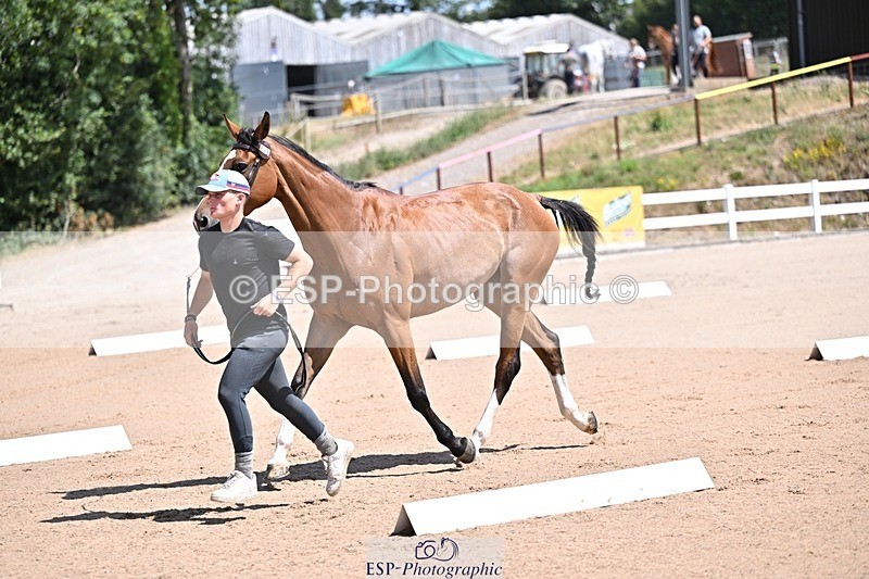 250716-123112-00033 - Trot Up 12.30 to 1.30