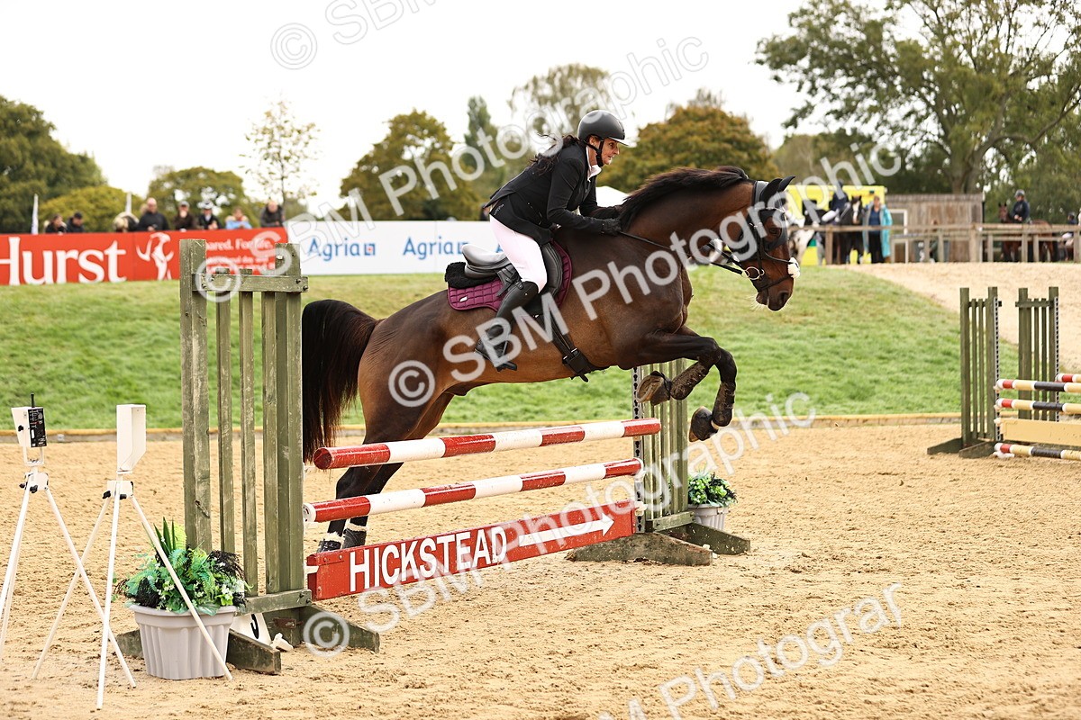 SBM_58548 - J41 - Grand Tour Horse & Pony 95cm