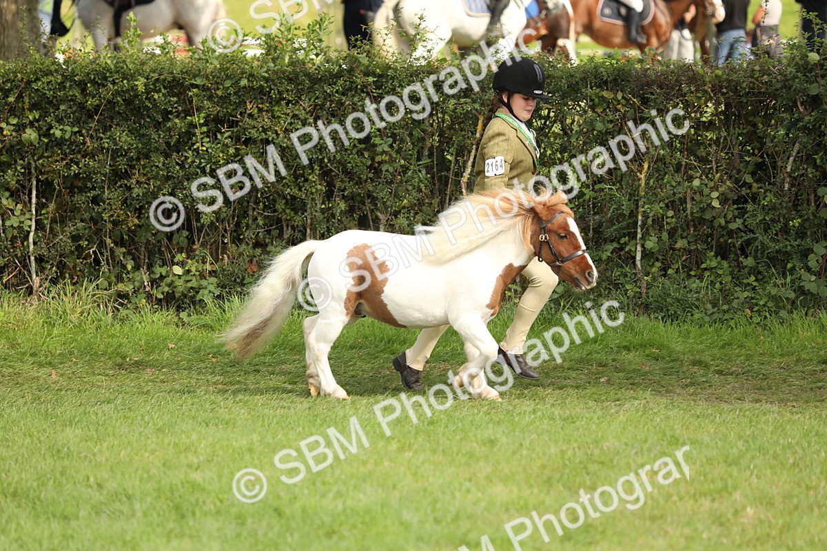 SBM_68521 - S40 - Junior Handler 9-12 Years