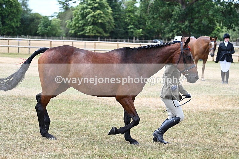 WJ7_1913 - Class 4a Prettiest Mare 14.2hh and over hand