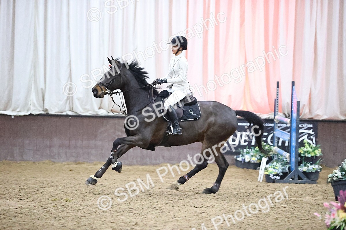 SBM_003256 - Class 11 - Senior Foxhunter - 1.20m