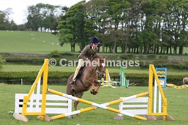 MBMAY 7885 - Morecambe Bay Riding Club May 2012 - Working Hunter/Jumping