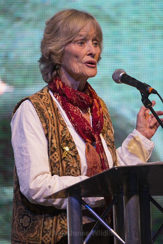 Virginia Mckenna OBE at Whalefest REF CSVM1 - The celebrity speakers from Whalefest 2014 in Brighton