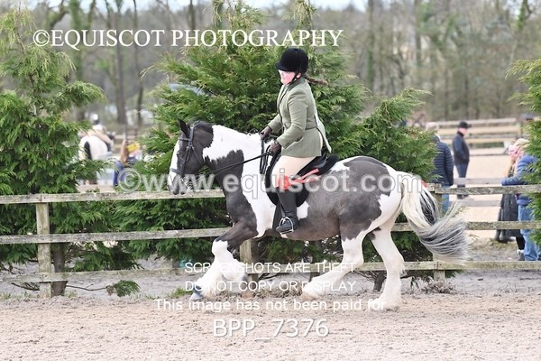 BPP_7376 - RING 1  (RIDDEN HORSES / IN HAND / VETERAN ETC)
