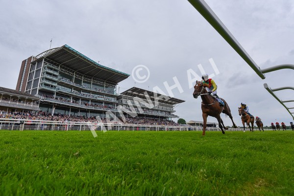 250524-Race 6-Primo Lara-7003 - Race 6 4.30pm Royal Yorkshire Regiment Handicap