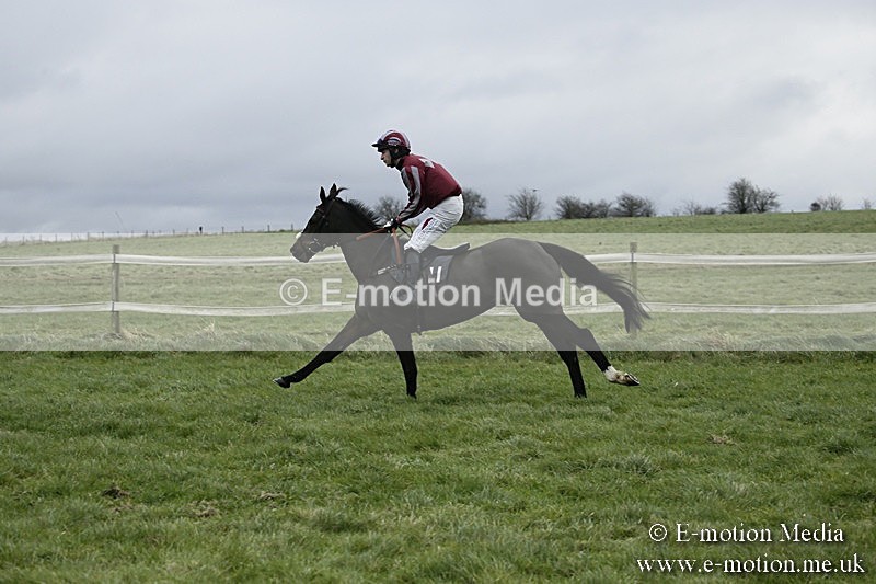PtP 031217 219 - Hursley Hambledon Point-to-Point Larkhill 03/12/17