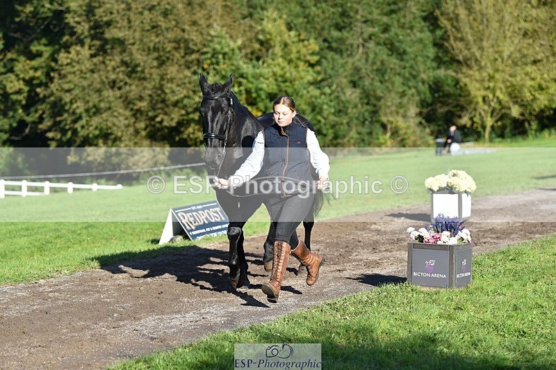 231022-103826-22634 - 505-MR.DARCY-Eleanor.Newcombe-TrotUp+SJ