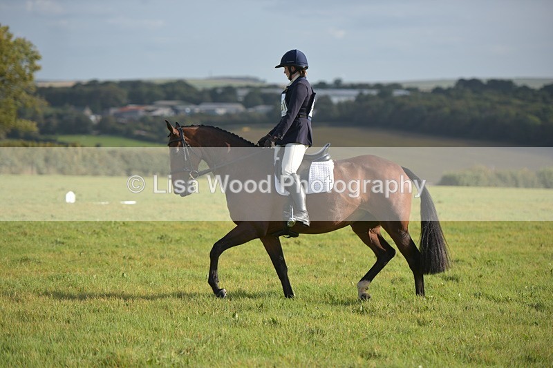 RAY_7273 - Class 2B: Trekenning Open: Dressage