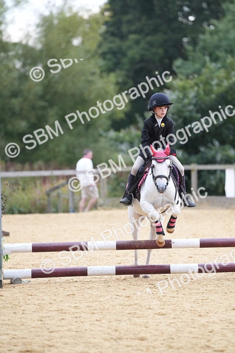 SBM_74643 - J4 - Mini Tour Junior Pony 45cm Championship