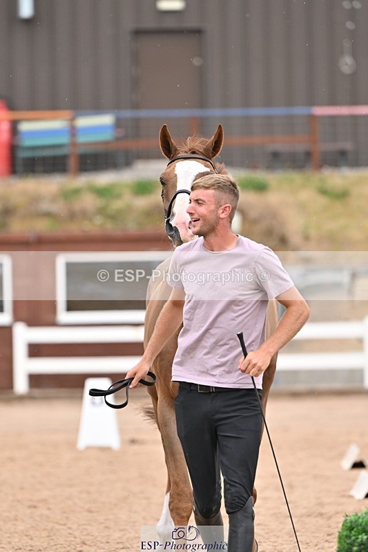 250716-161006-02483 - Trot Up 3.30 to 4.30