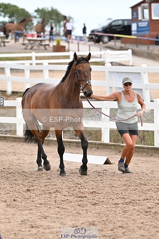 250716-145926-01588 - Trot Up 2.30 to 3.30