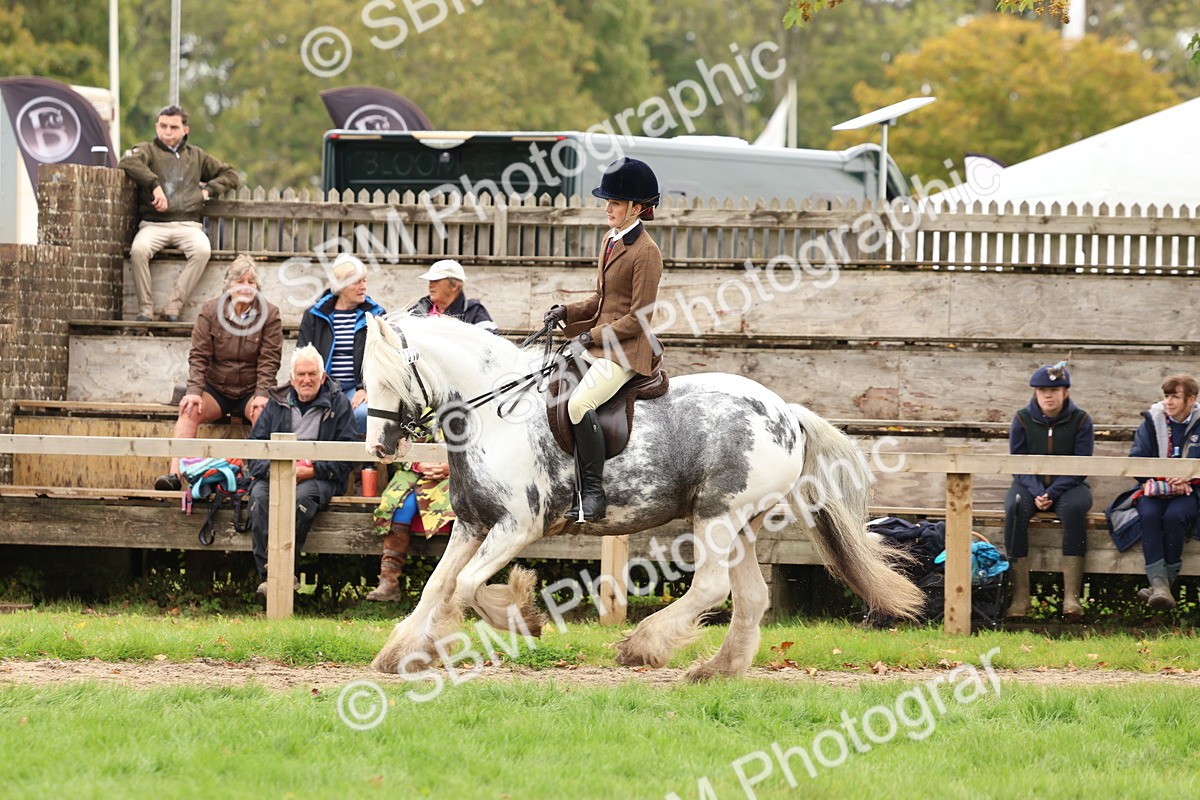 SBM_64481 - S58 - Coloured Pony Ridden