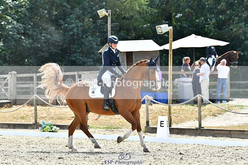 260802A-151842-07360 - Intermediate Bronze