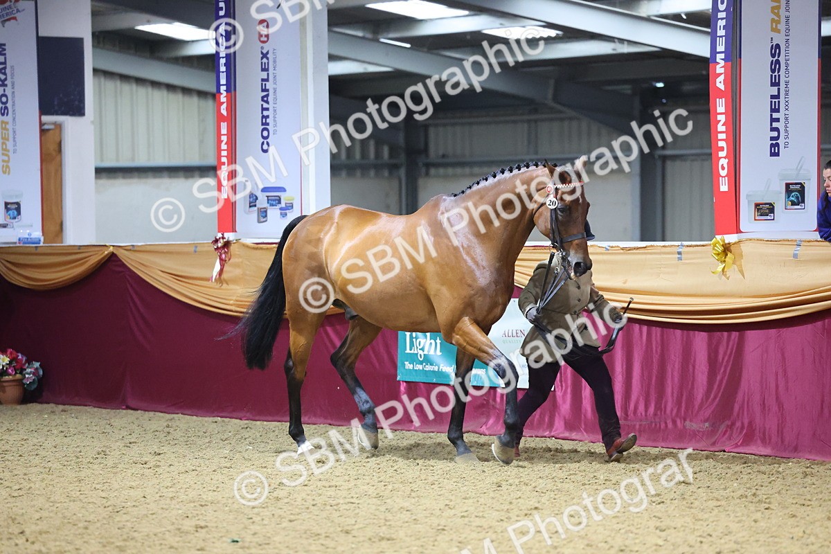 SBM_20764 - Class 902 - Supreme Final IH Veteran