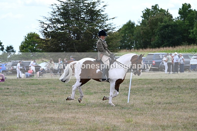 WJ7_5214 - Class 12 Ridden Cob