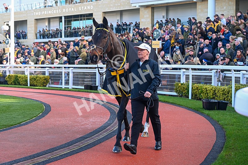 250125-Race 2-East India Dock-3006 - Race 2
