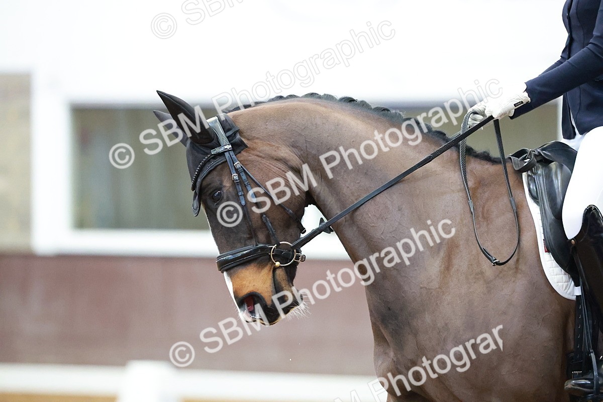 SBM_003330 - Class 5 - N6