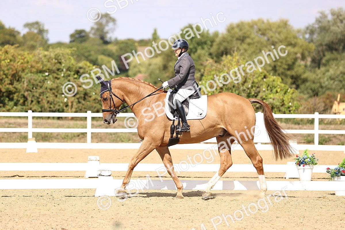 SBM_015082 - Class 6 - Elementary 5