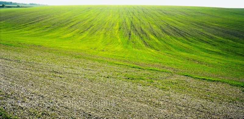 Grove Farm - A Rural Landscape