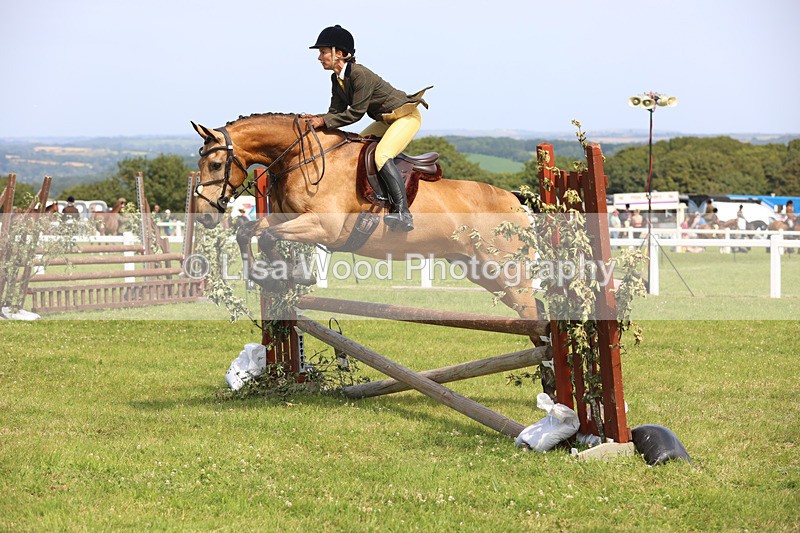 JPP_3729 - Class 23: Working Hunter 80cm