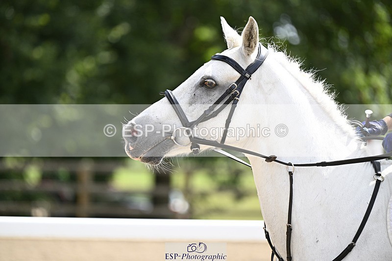 240823X-121641-16445 - 60cm R2 11.00 to 12.30