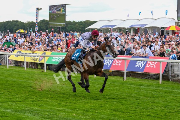 140625-Race 1-Humam-1953 - Race 1 1.50pm Doug Johnston Memorial Ubettabelieveit Macmillan Handicap