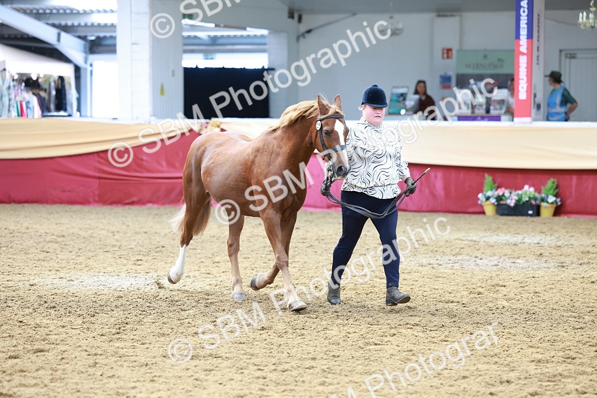 SBM_17504 - Class 951 - M&M IH Supreme Final