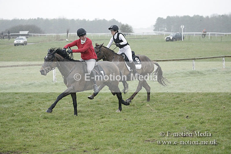 PtP 150320 0026 - New Forest Point-to-Point Larkhill 15/03/20