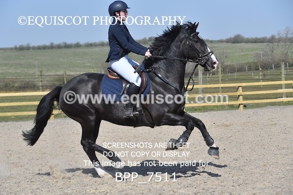 BPP_7511 - CLASS 5 Senior Newcomers/ 1.10m Open