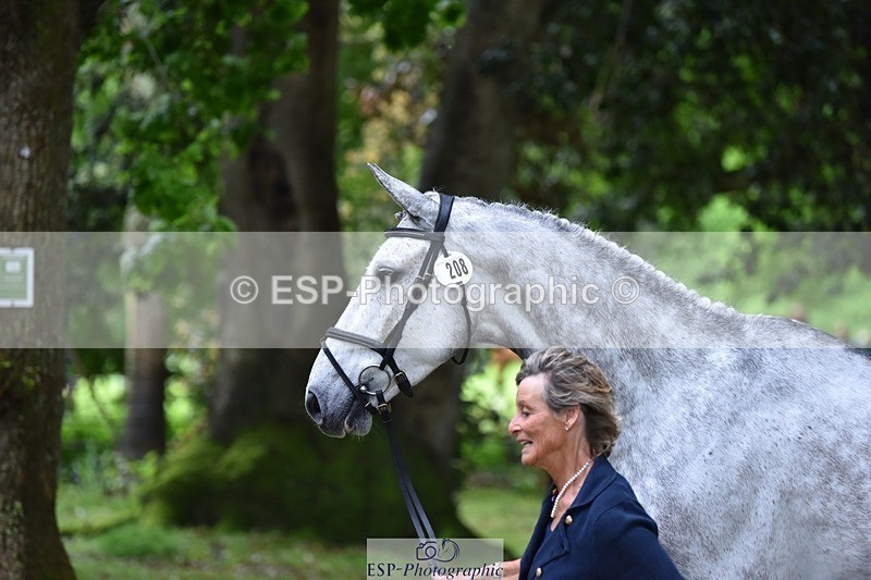 240522-162818-00939 - 208-KING_LOUIS-Mary_King