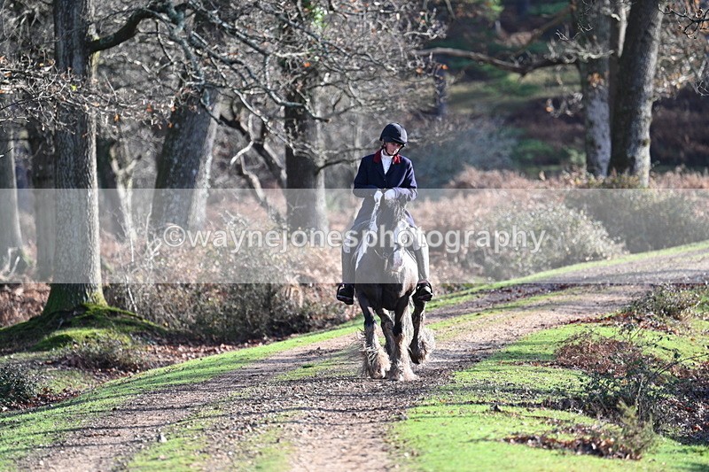 WJ7_7776 - Line 3 (no line 4 or 5)