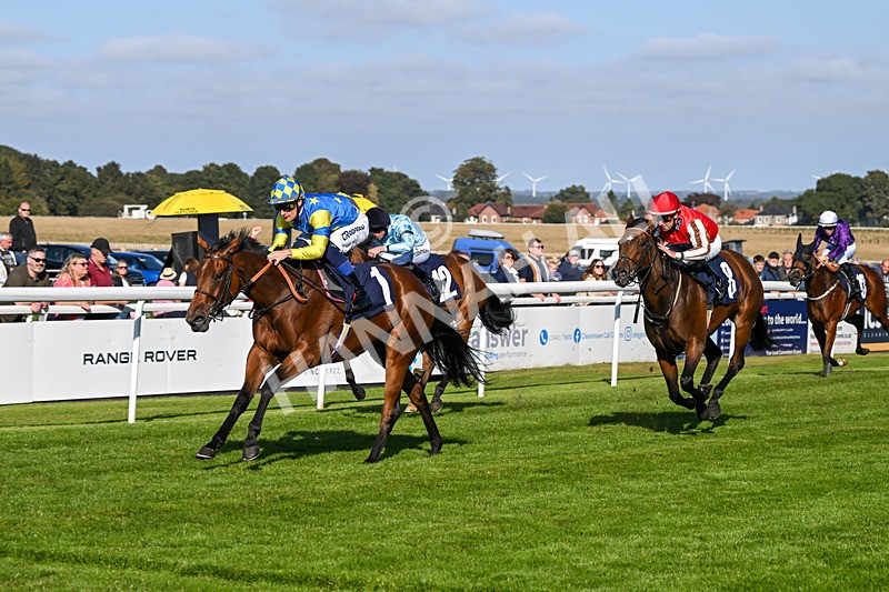 180924-Race 5-Blue Zodiac-4805 - Race 5