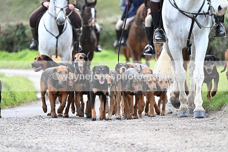 WJ7_9788 - Walk Home