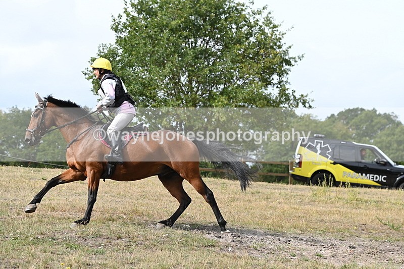 WJ6_0163 - XC Time 10:53 to 11:00